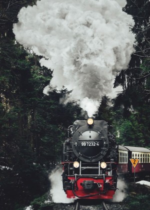 THE RAILWAY CHILDREN